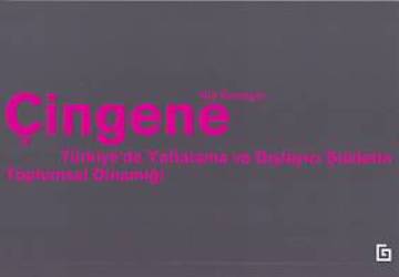 Çingene – Kolektif – Koç Üniversitesi Yayınları – kitap kapağı