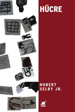 Hücre – Hubert Selby Jr. – Ayrıntı Yayınları – kitap kapağı