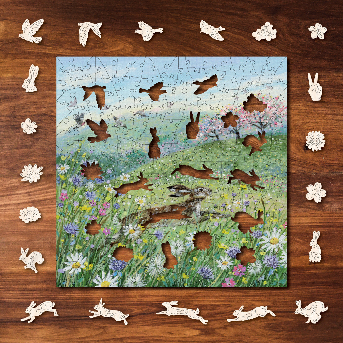 Hare In The Meadow