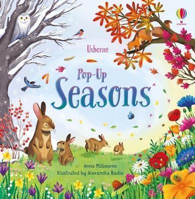 Pop-up Seasons – Anna Milbourne – Usborne Publishing – kitap kapağı