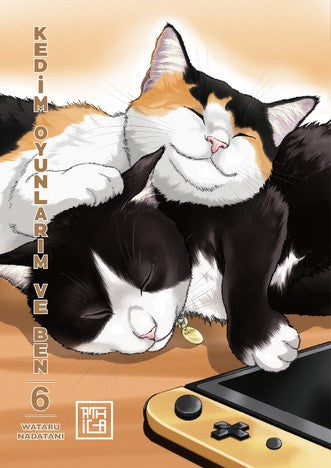 Kedim Oyunlarım ve Ben 6 – Wataru Nadataniye – Athica Yayınları – kitap kapağı