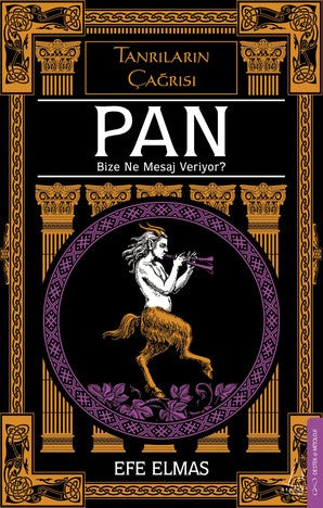 Pan – Efe Elmas – Destek Yayınları – kitap kapağı
