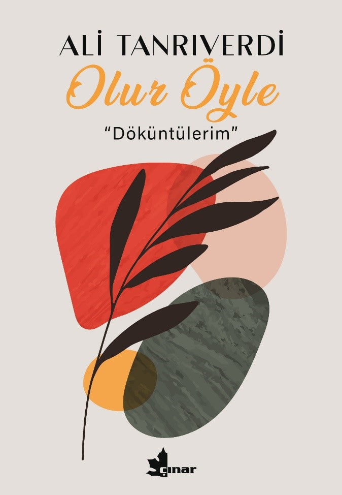 Olur Öyle ‘‘Döküntülerim’’ – Ali Tanrıverdi – Çınar Yayınları – kitap kapağı