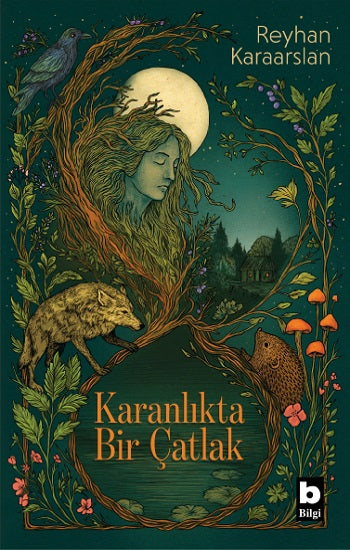 Karanlıkta Bir Çatlak – Reyhan Karaarslan – Bilgi Yayınevi – kitap kapağı