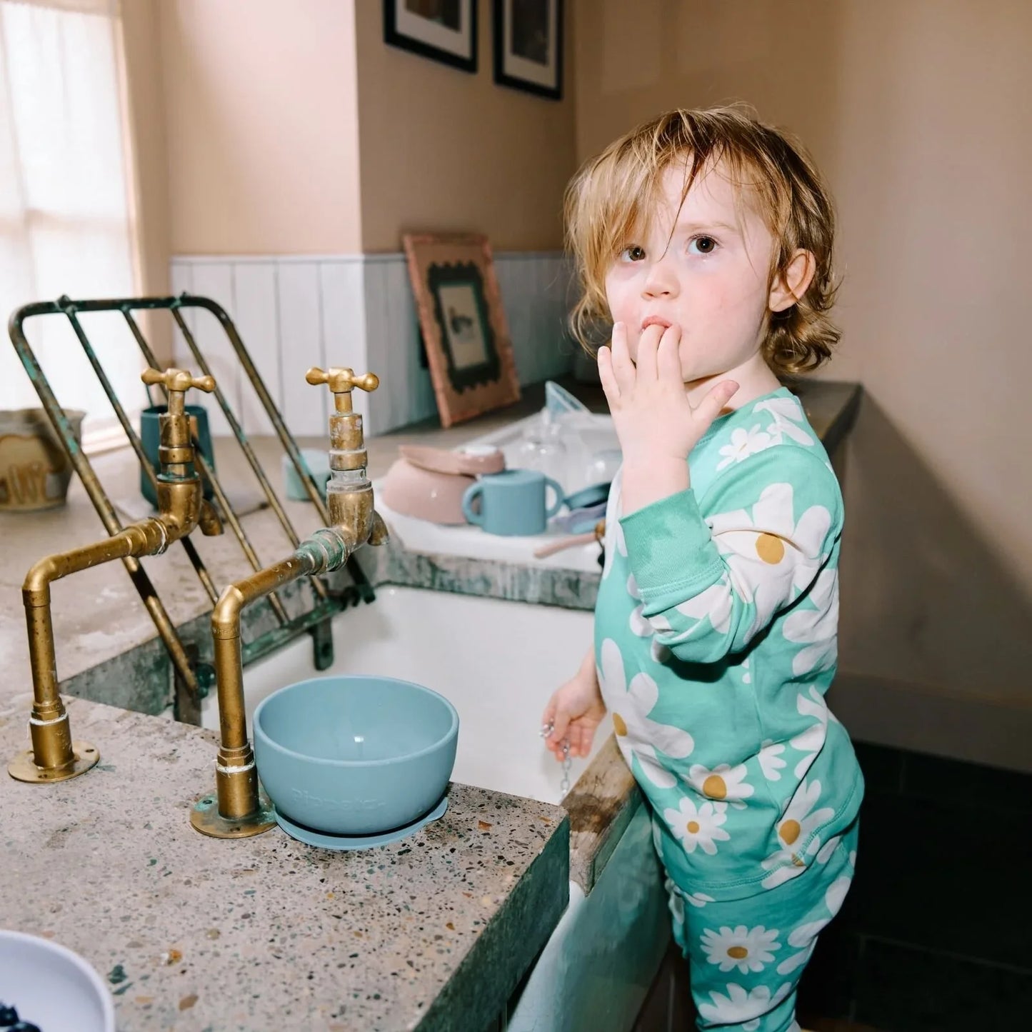 Pippeta Silicone Suction Bowl - Ash Rose