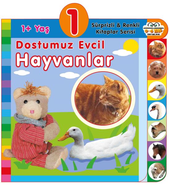 Dostumuz Evcil Hayvanlar (1+Yaş) - 0-6 Yaş Yayınları Kitap