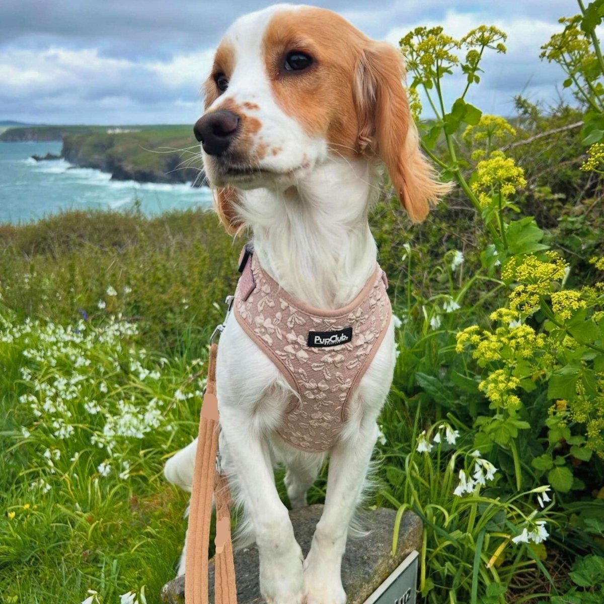 Luxe Adjustable Harness - Toffee Latte Petals