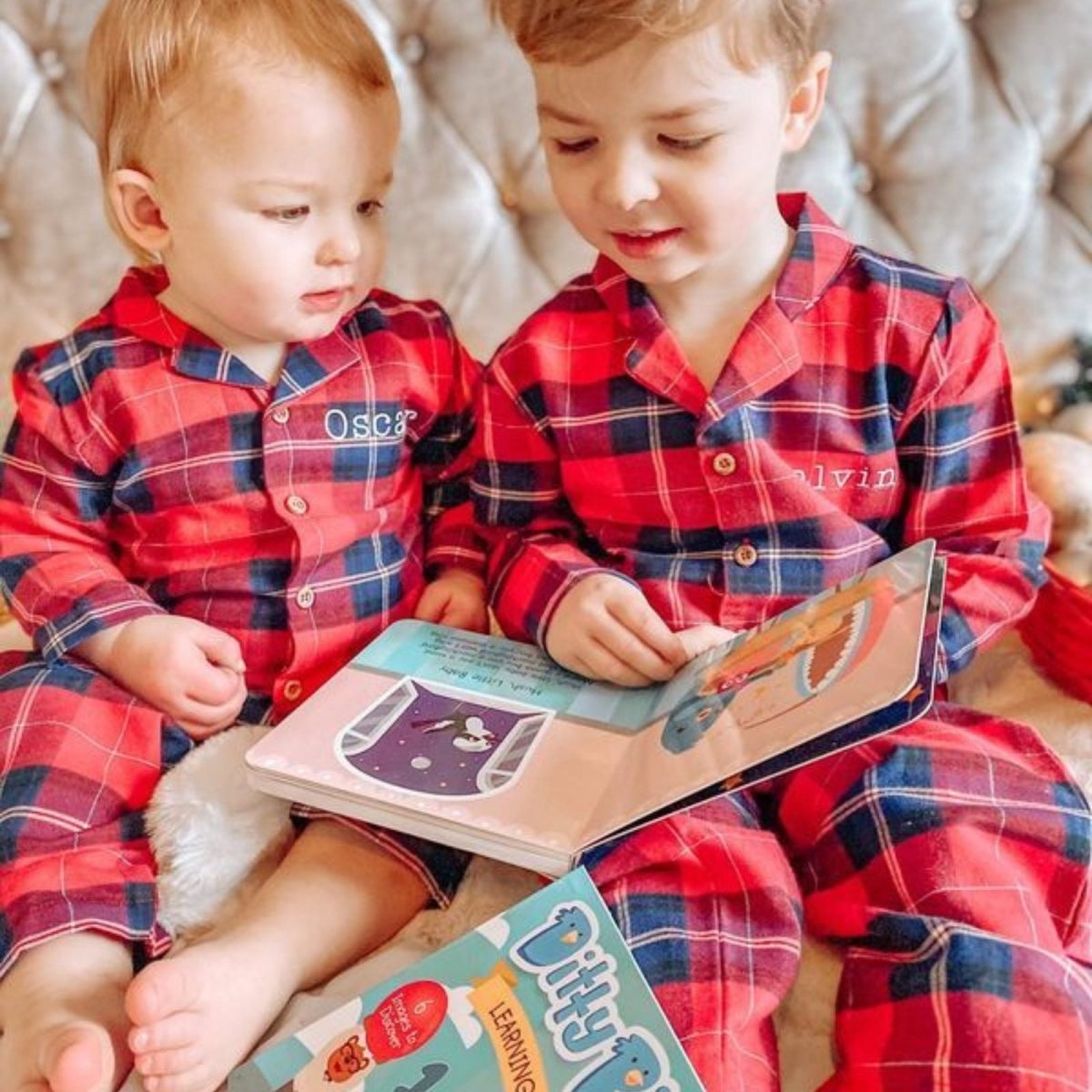 Ditty Bird Learning Songs Book