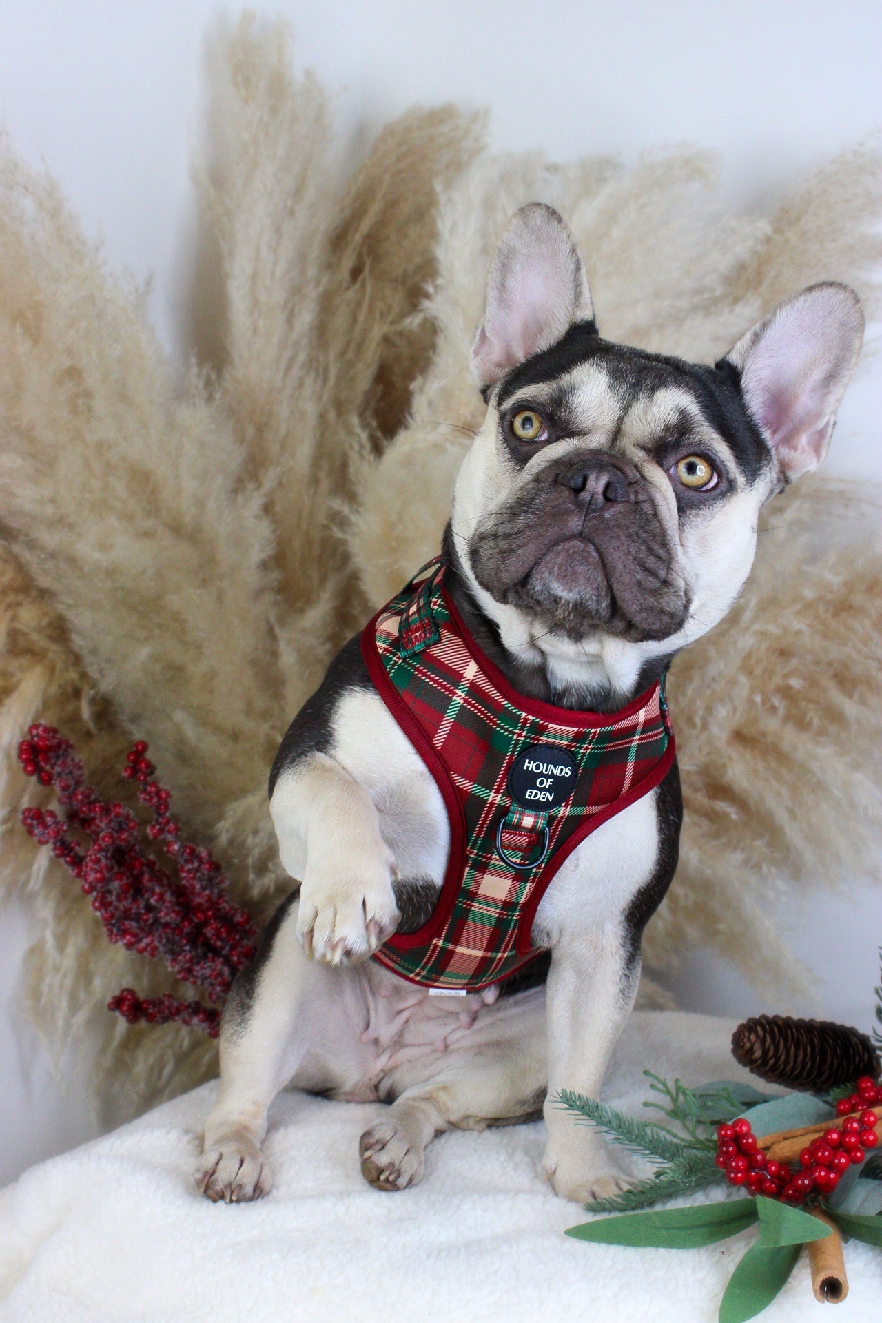 Tartan MeĀ Up - Red & Cream Tartan Design Dog Harness