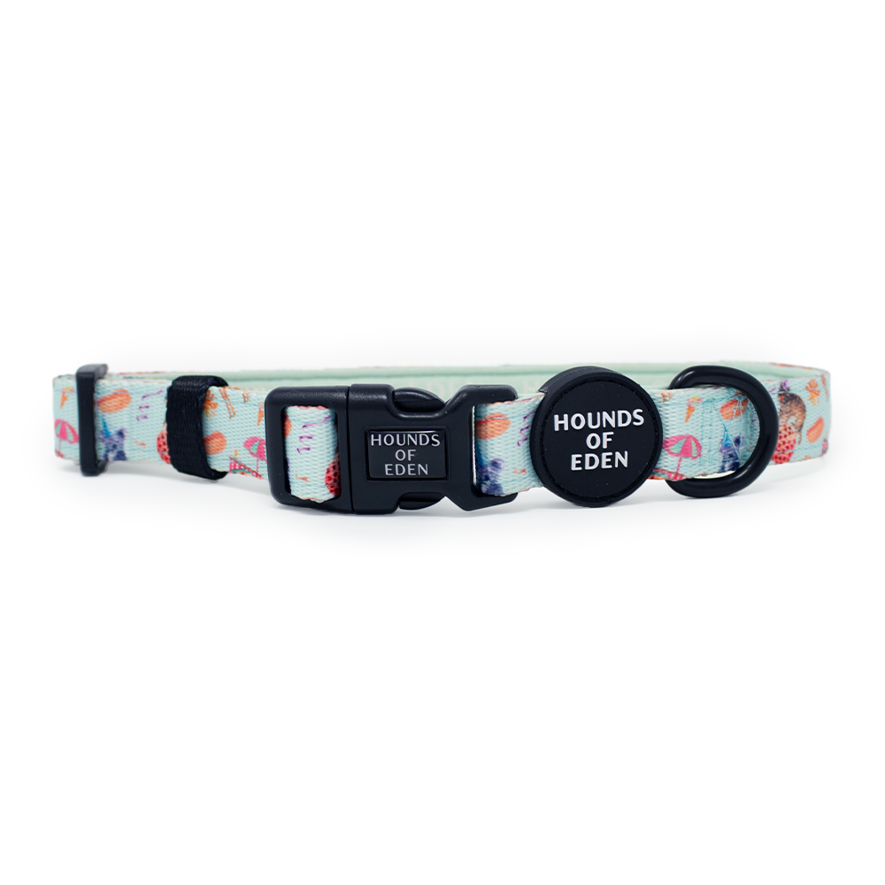 CIRCUS PUP - Dog Harness