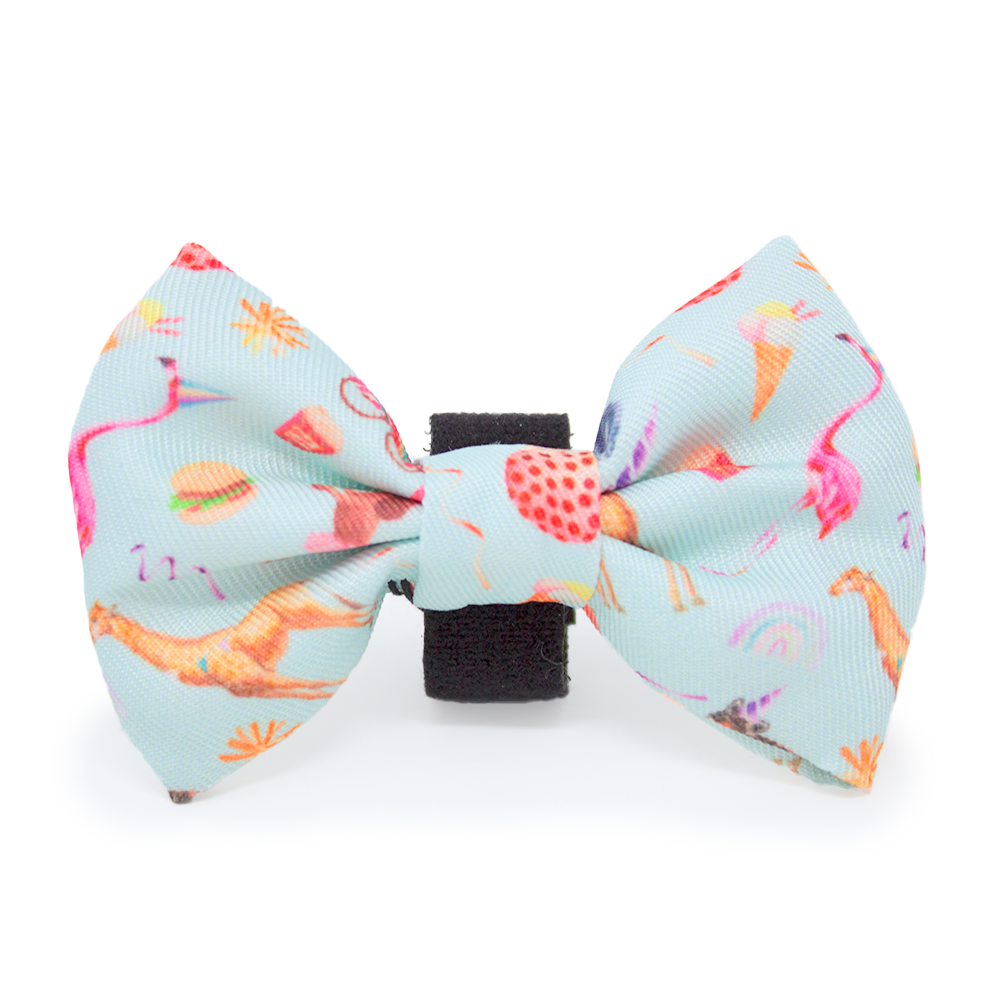 CIRCUS PUP - Dog Harness