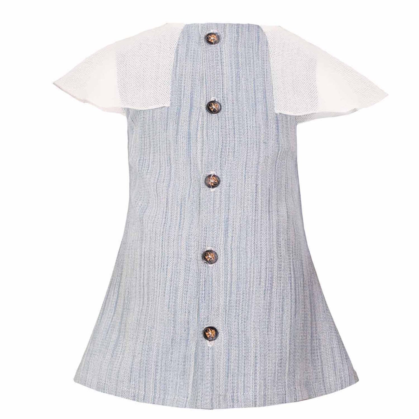 Elegant Blue Baby Dress-2