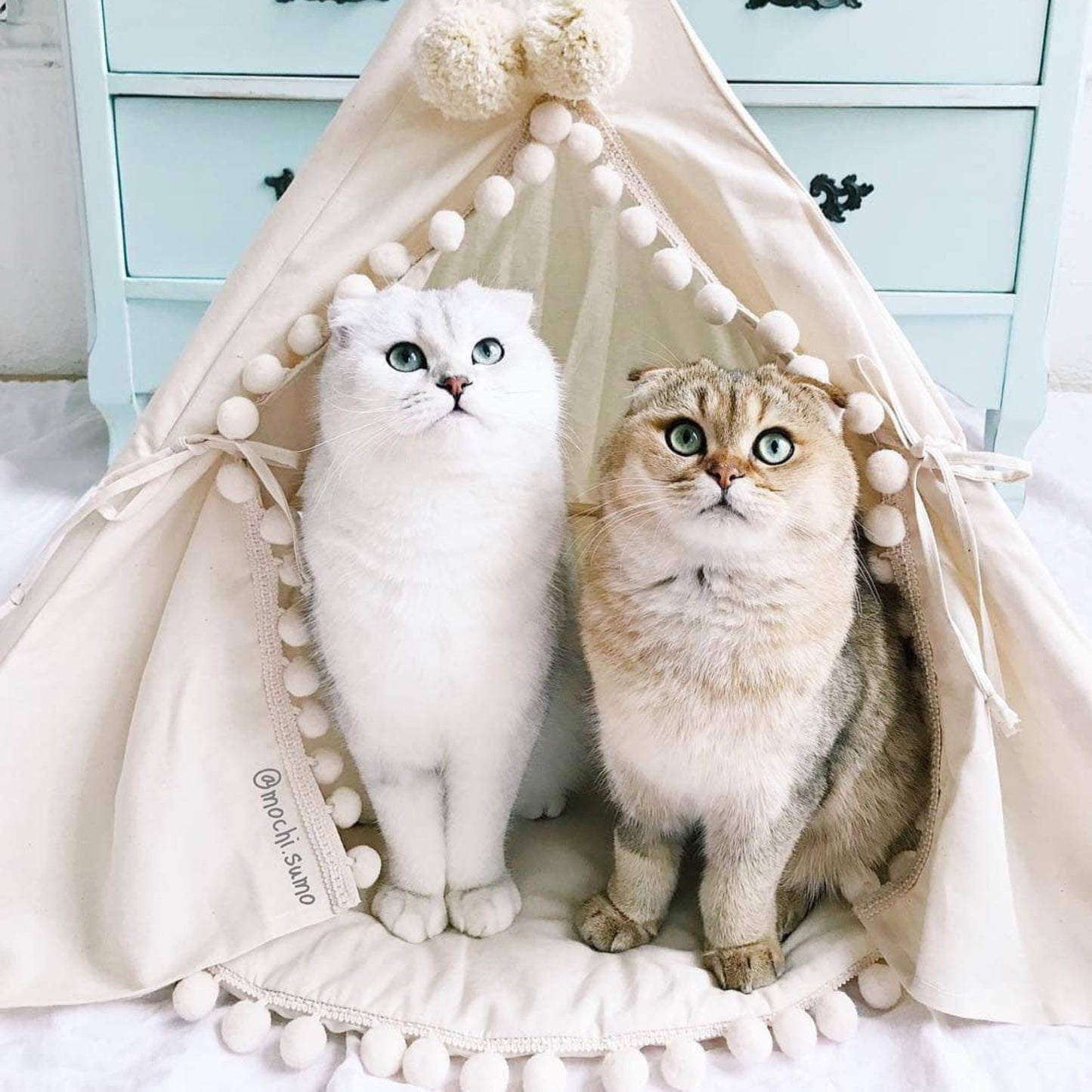 MINICAMP Cat Teepee & Small Dog Tent in Ecru with Pompoms – Size S