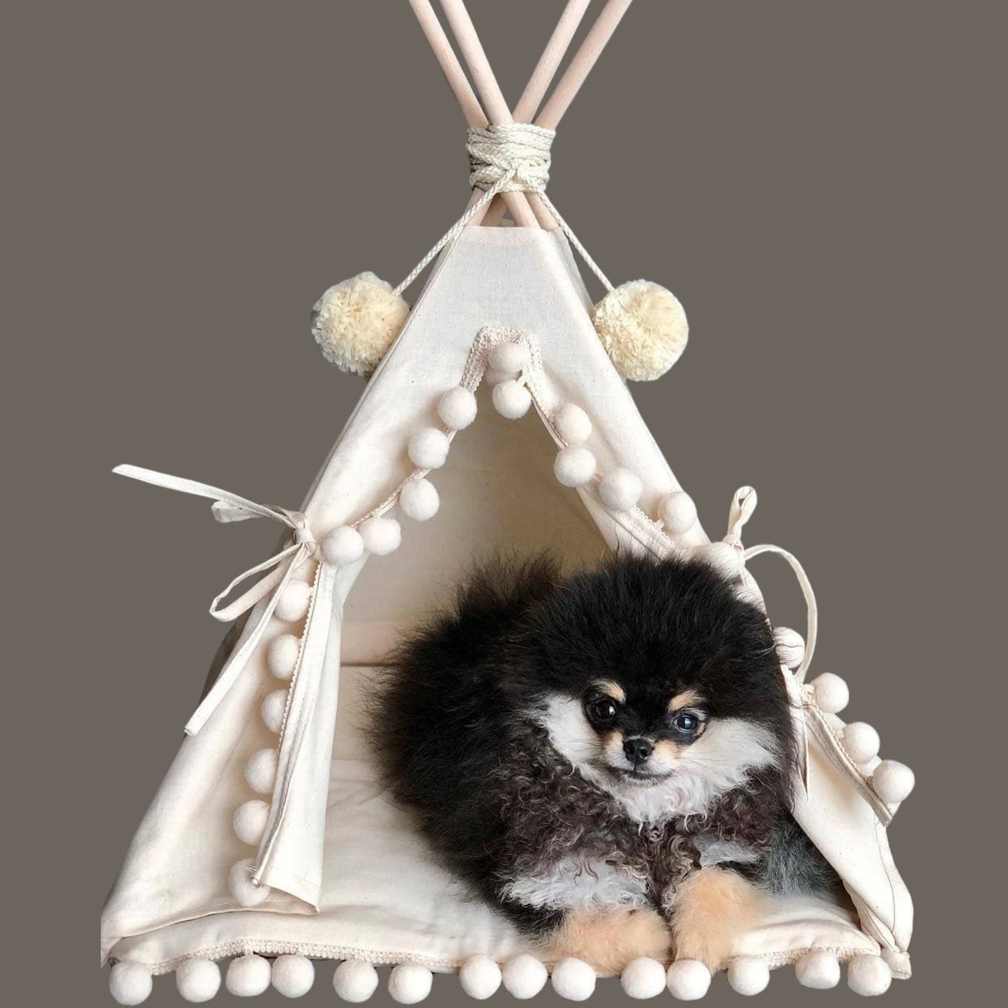 MINICAMP Guinea Pig Bed Teepee, Chinchilla Bed, Small Pet Bed – Sizes 2XS, 3XS, 4XS
