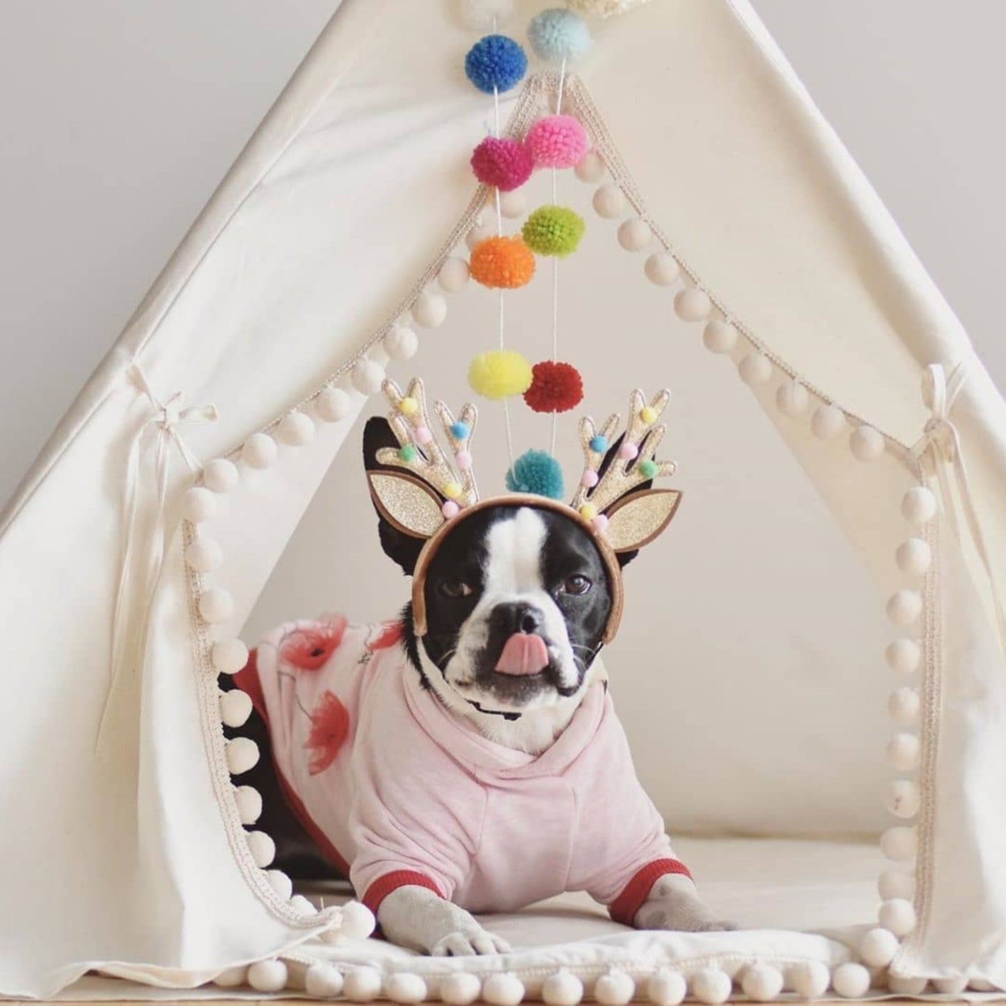 MINICAMP Large Dog Teepee Tent in Ecru with Pompoms – Size L