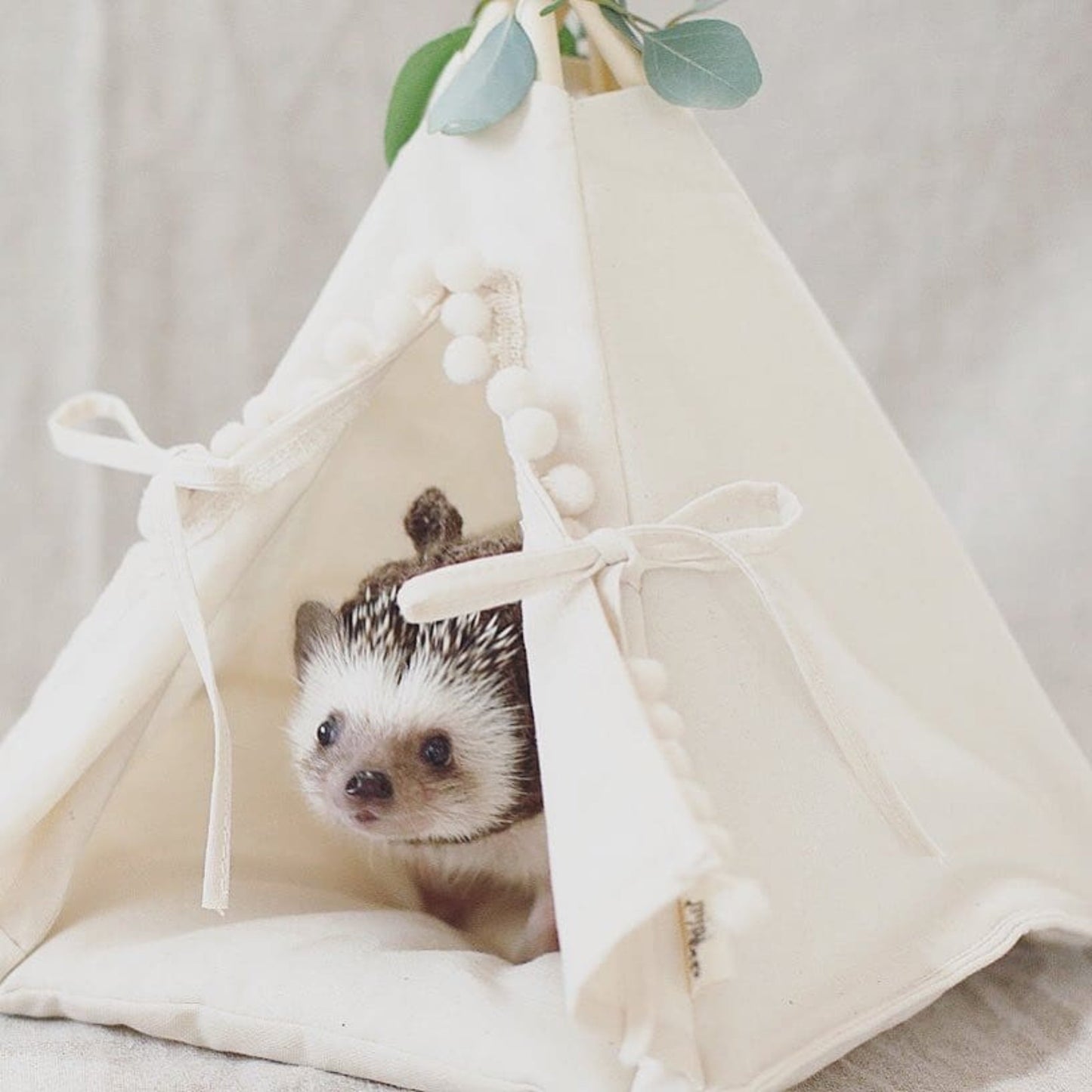 MINICAMP Hedgehog Bed Teepee with Soft Pad in Ecru - Size 4XS