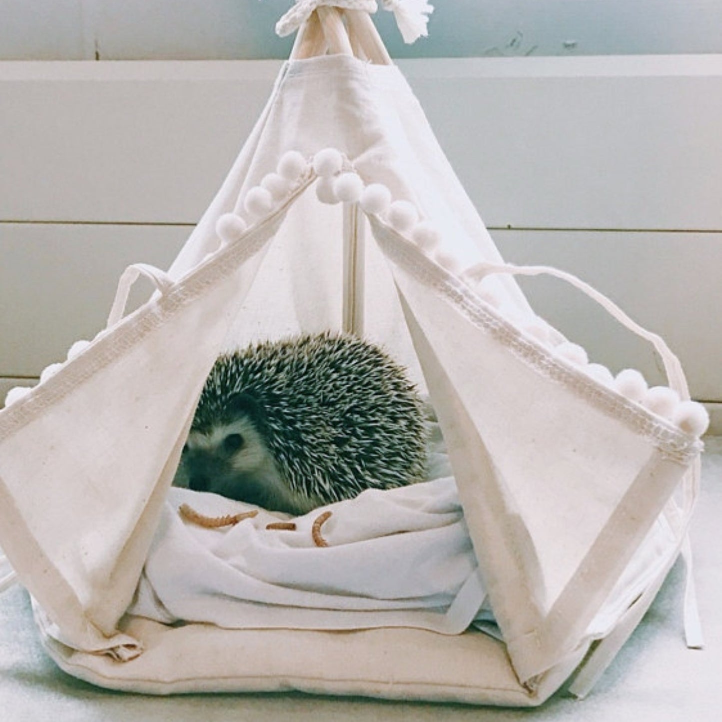 MINICAMP Hedgehog Bed Teepee with Soft Pad in Ecru - Size 4XS