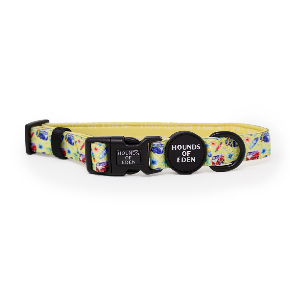 Surf's Up! - Dog Collar