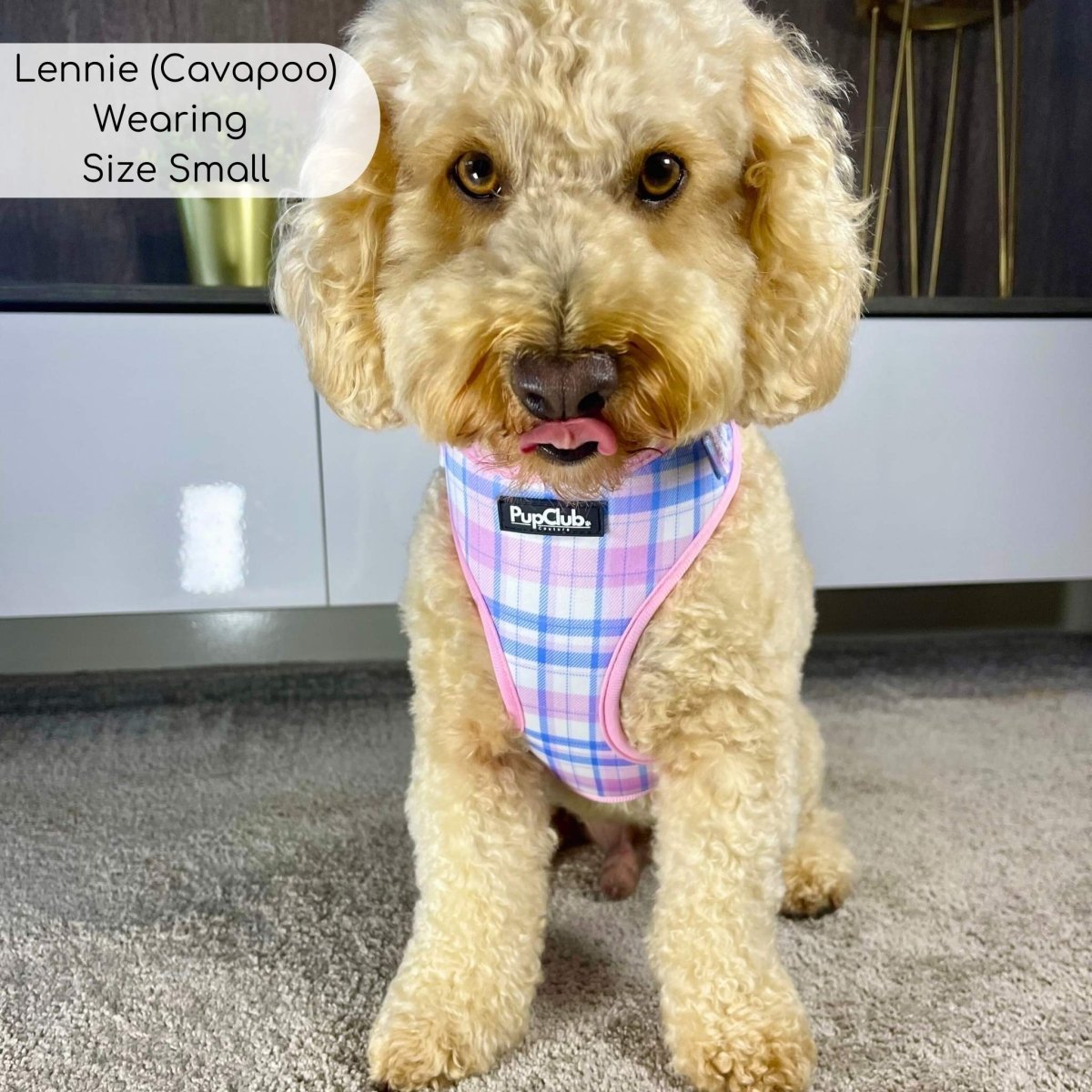 Adjustable Harness - Pink Tartan - mezetto PupClub Couture PupClub Couture