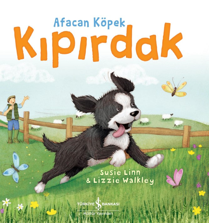 Afacan Köpek Kıpırdak