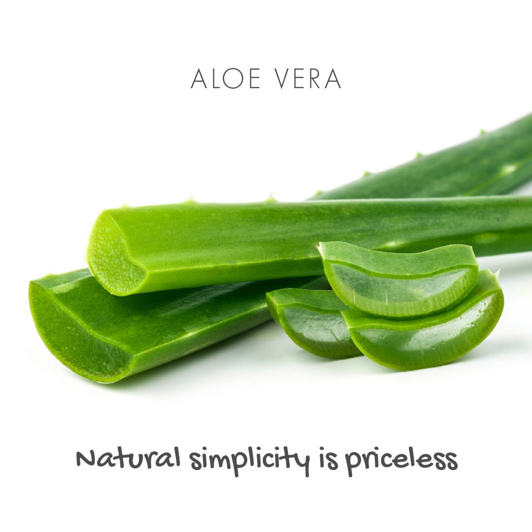 Aloe Vera Natural Soap - Fragrance - free - mezetto Friendly Soap Friendly Soap