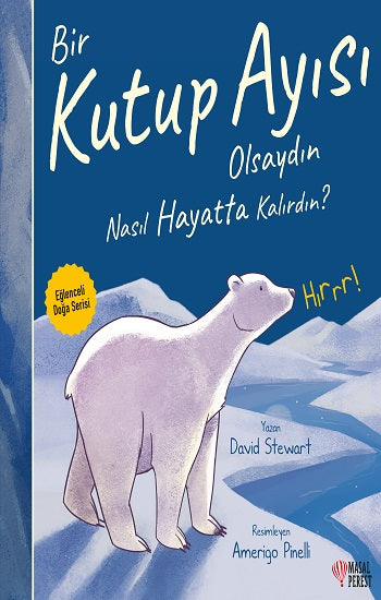 Bir Kutup Ayı Olsaydın Nasıl Hayatta Kalırdın?
