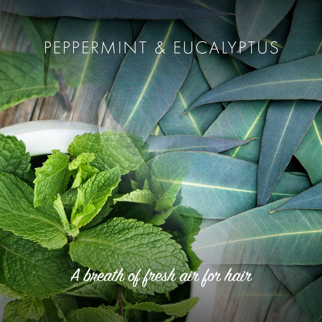 Conditioner Bar - Peppermint & Eucalyptus - mezetto Friendly Soap Friendly Soap