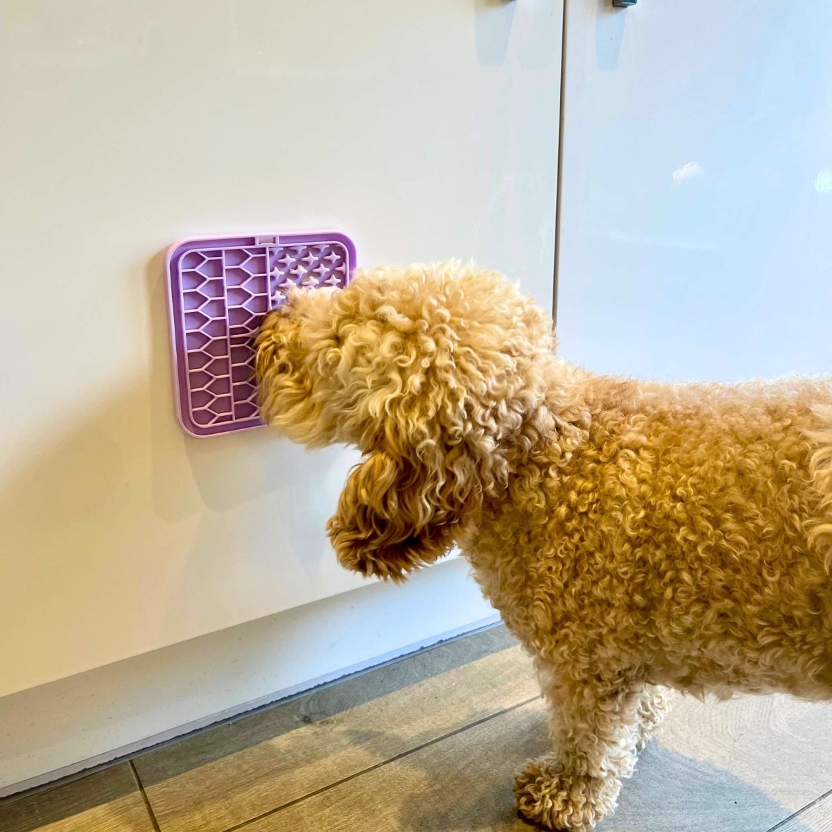 Dog Lick Mat - Lilac - mezetto PupClub Couture PupClub Couture