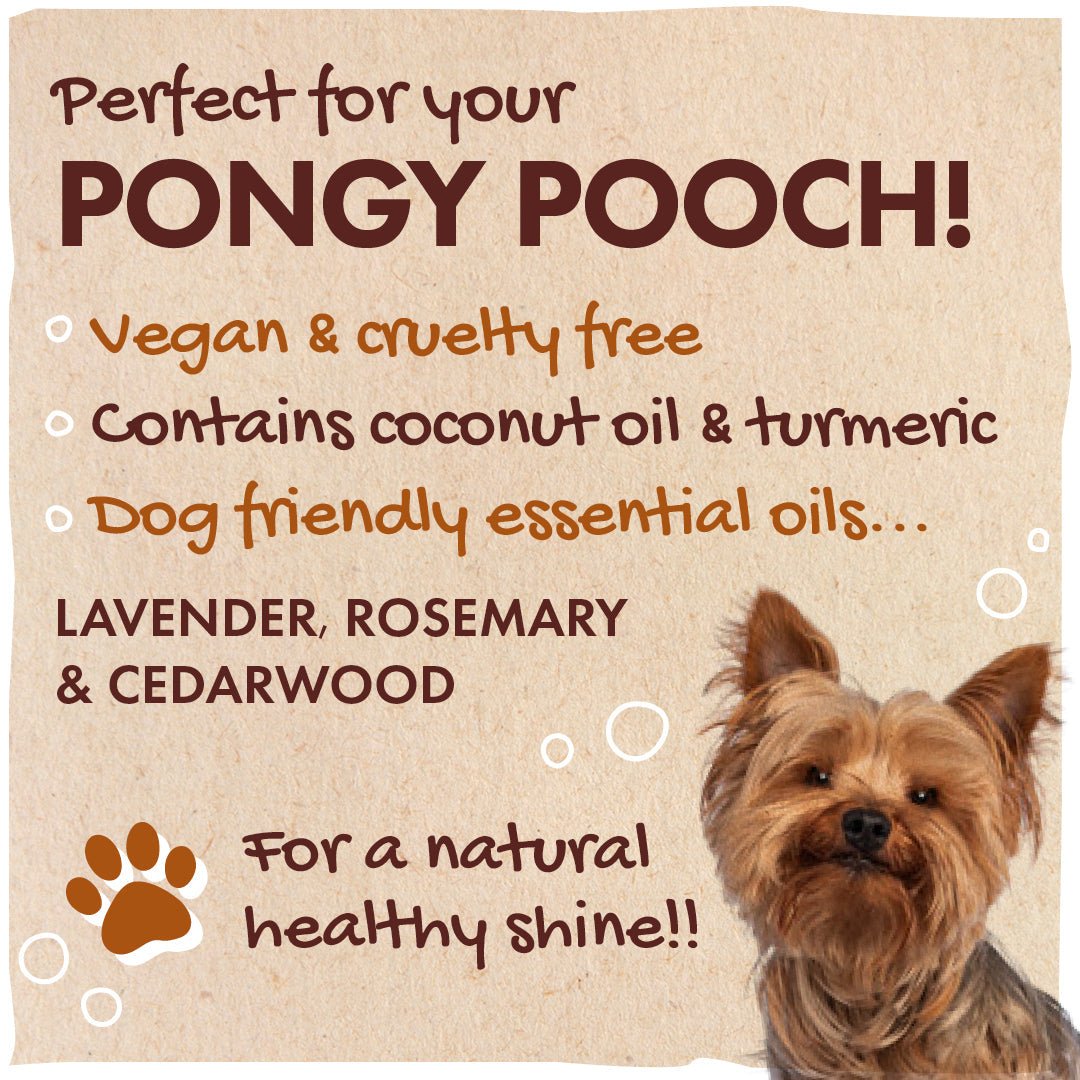 Dog Shampoo - mezetto Friendly Soap Friendly Soap
