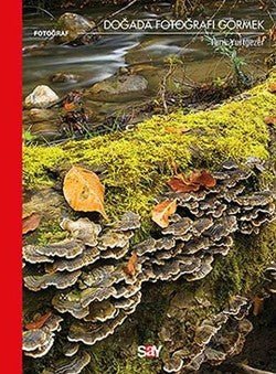 Doğada Fotoğrafı Görmek - mezetto