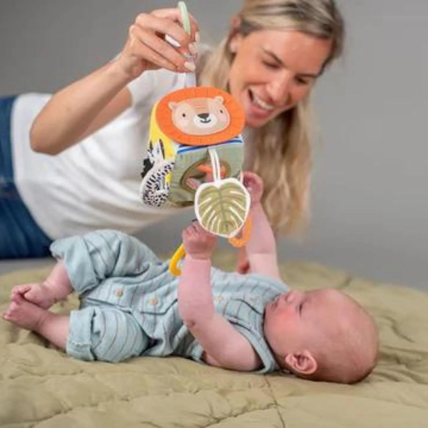 Taf Toys Savannah Discovery Cube