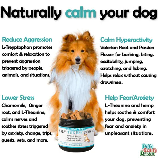 Calming dog treats for barking, stress, anxiety (natural herbal)