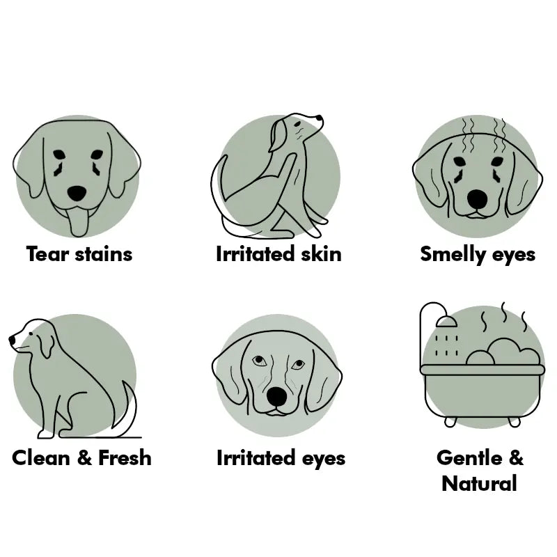 Tear Stain Remover. Gently Remove Eye Residue & Prevent Stains