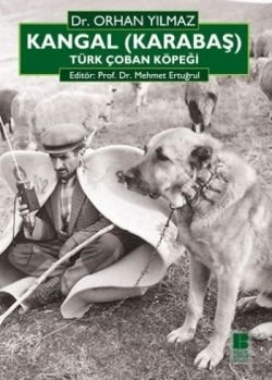 Kangal (Karabaş) Türk Çoban Köpeği - mezetto