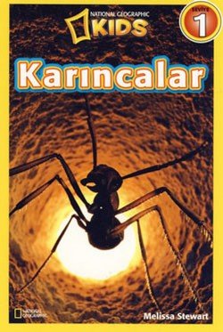 Karıncalar - Seviye 1 - mezetto