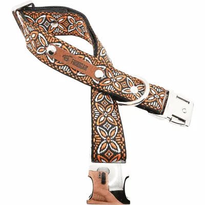 Luxury Dog Collar Set: Finnigan's Fancy ๐พ-4