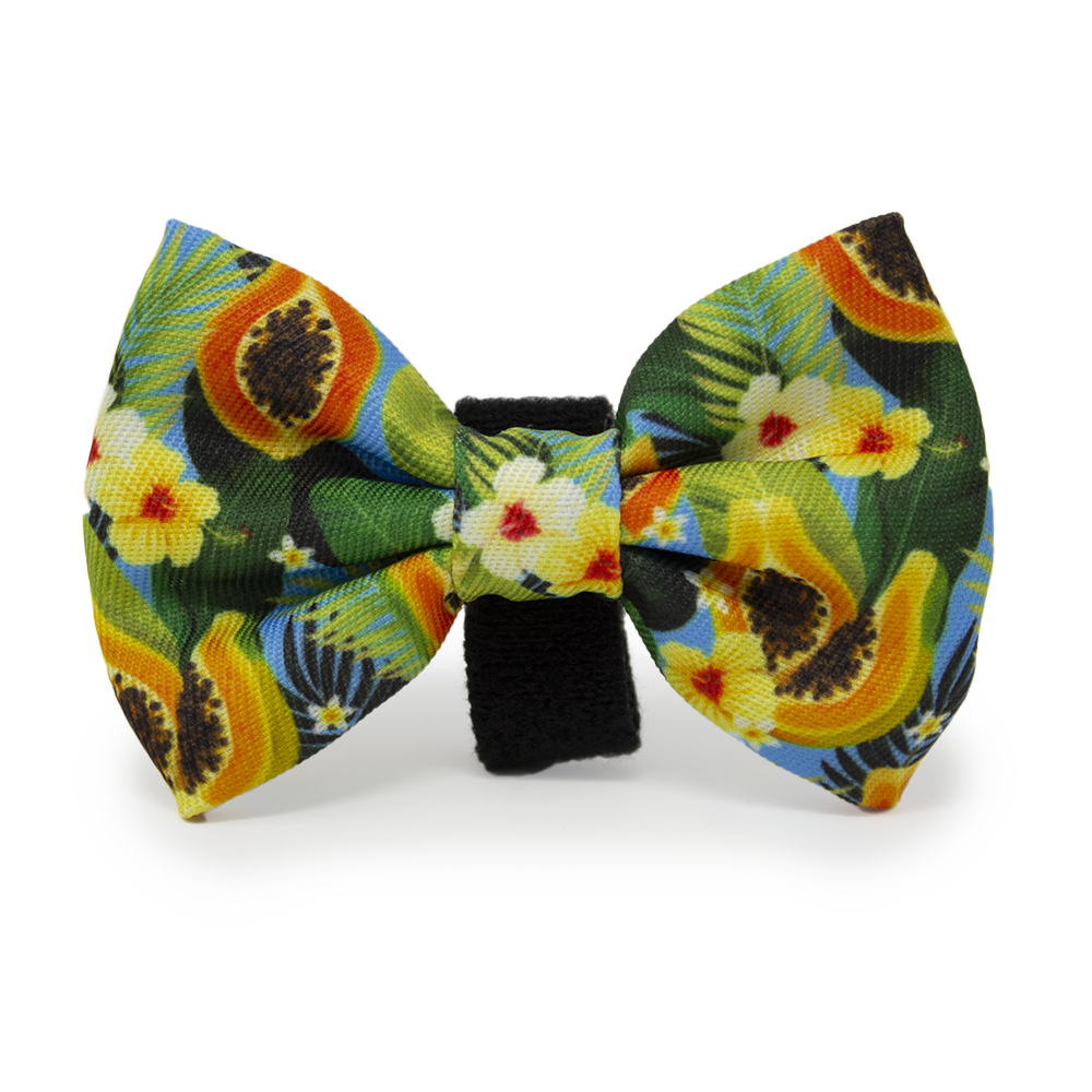 Pupaya Design Dog Harness