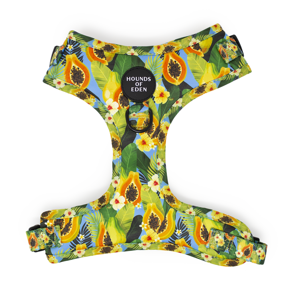 Pupaya Design Dog Harness