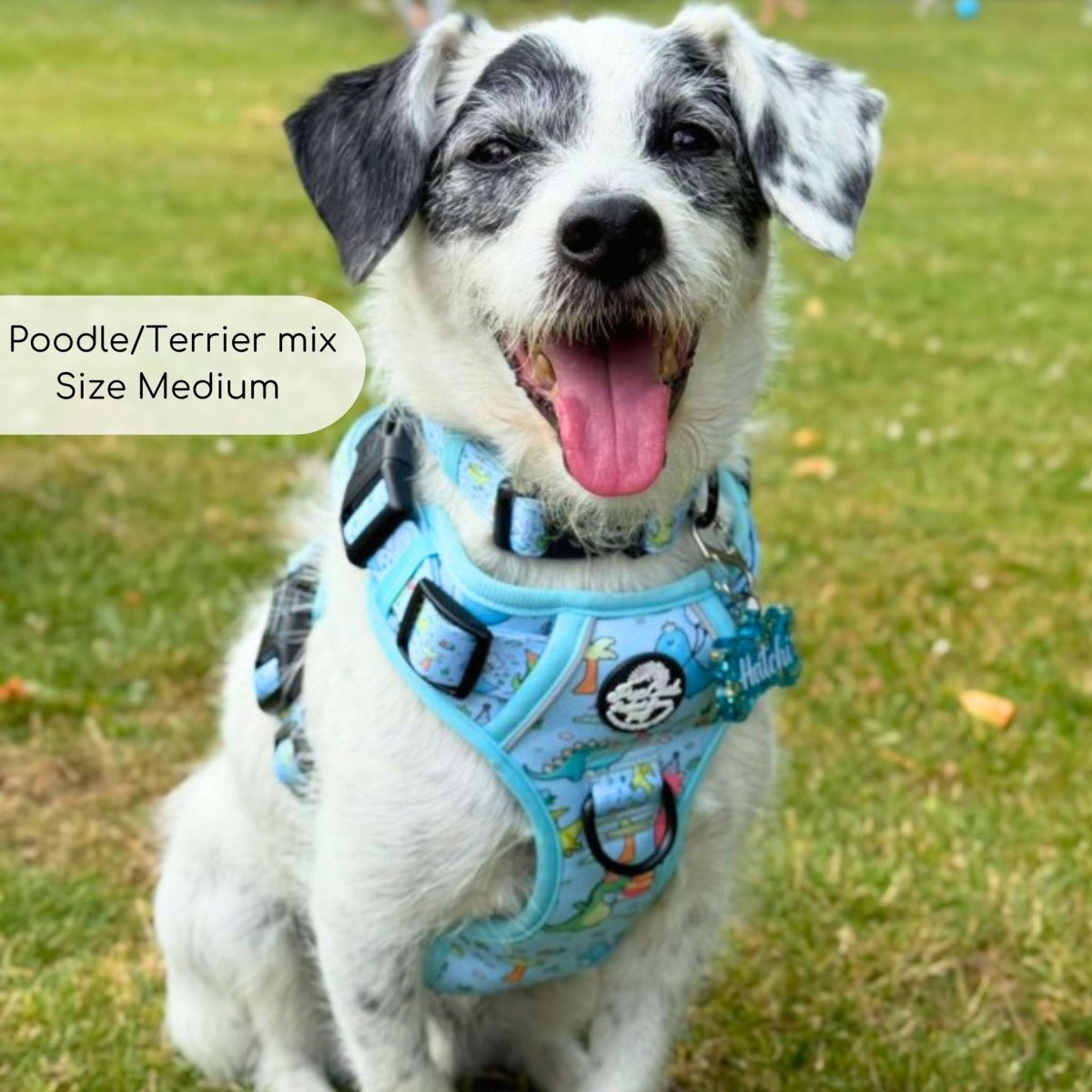 Rugged Rover™ Harness - Jurassic Party - mezetto PupClub Couture PupClub Couture