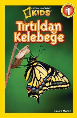 Tırtıldan Kelebeğe - mezetto