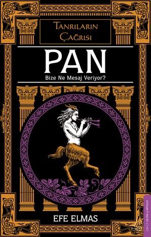 Pan - Destek Yayınları Kitap