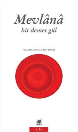 Bir Demet Gül - Ayrıntı Yayınları Kitap