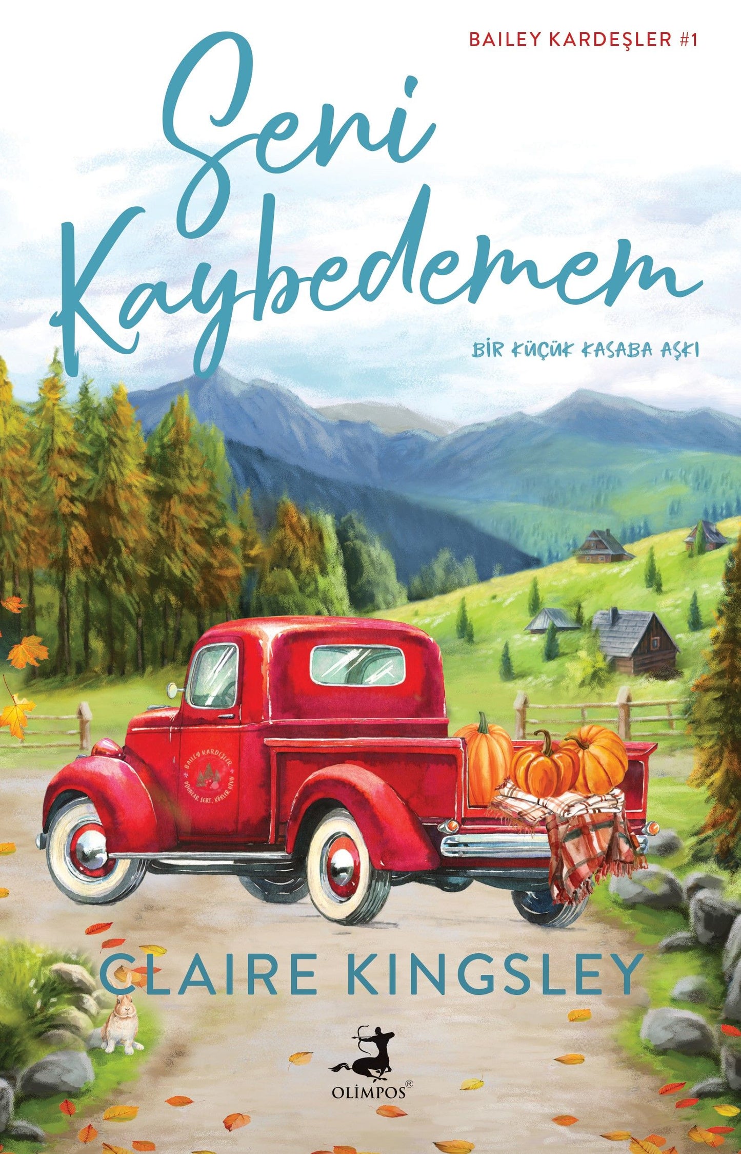 Seni Kaybedemem – Claire Kingsley – Olimpos Yayınları – kitap kapağı