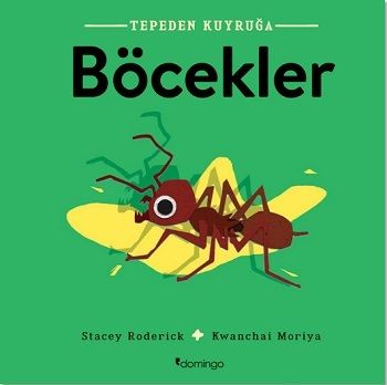 Böcekler- Tepeden Kuyruğa - Domingo Yayınevi Kitap