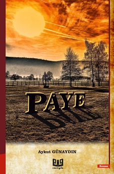 Paye – Aykut Günaydın – Vaveyla Yayıncılık – kitap kapağı