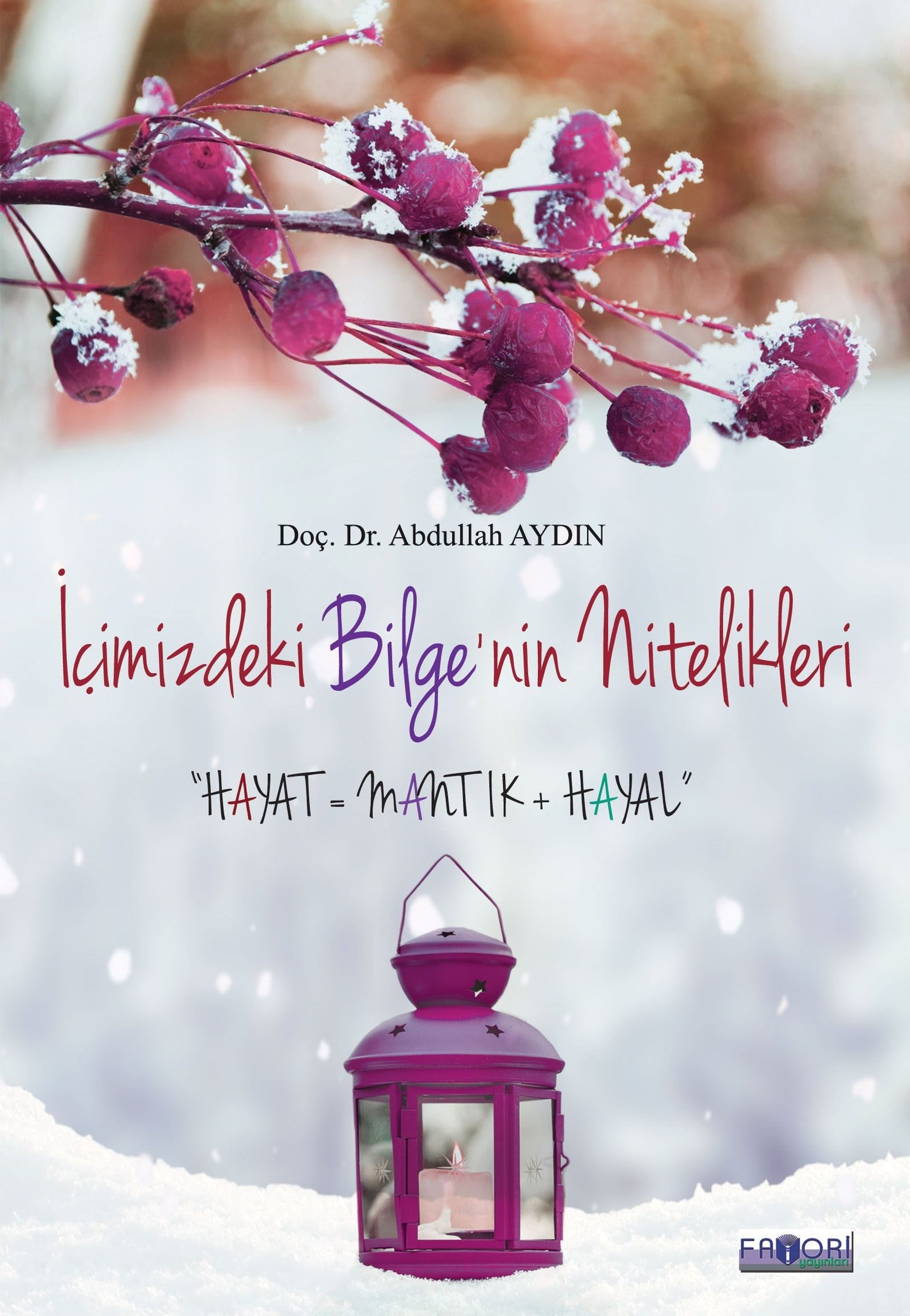 İçimizdeki Bilge’nin Nitelikleri – Abdullah Aydın – Favori Yayınları – kitap kapağı