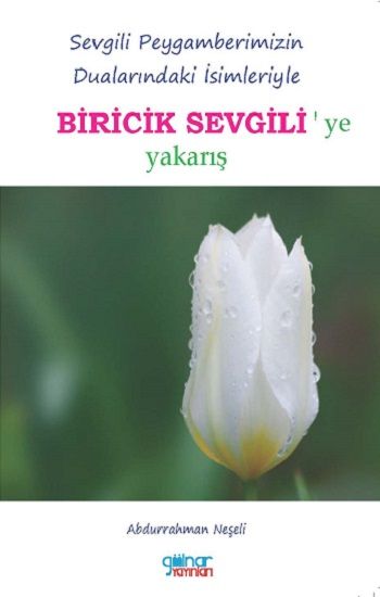 Biricik Sevgili – Abdurrahman Neşeli – Gülnar Yayınları – kitap kapağı