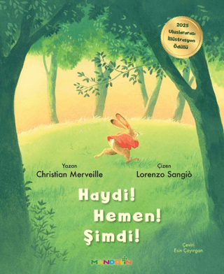 Haydi! Hemen! Şimdi! - Mandolin Yayınları Kitap