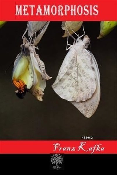 Metamorphosis – Franz Kafka – Platanus Publishing – kitap kapağı