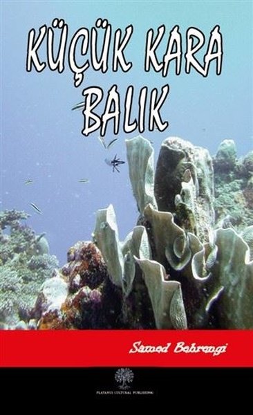 Küçük Kara Balık – Samed Behrengi – Platanus Publishing – kitap kapağı